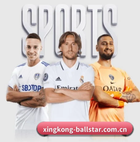 星空体育网站 APP